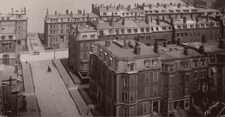 boston brahmin types