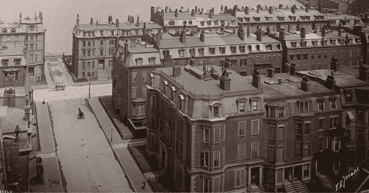 boston brahmin types